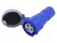 Connector: AC supply 3-phase; IP&S; 32A; 250V; 250VAC; plug; female AMPHENOL