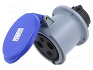 Connector: AC supply 3-phase; socket; female; 63A; 250VAC; IP&S AMPHENOL