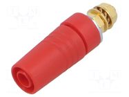 Connector: 4mm banana; socket; 32A; 1kV; red; gold-plated; M4,screw HIRSCHMANN T&M