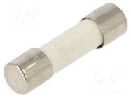 Fuse: fuse; 8A; 250VAC; medium time-lag; ceramic,cylindrical; FSM SCHURTER