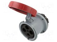 Connector: AC supply 3-phase; socket; female; 125A; 415VAC; IP&S AMPHENOL