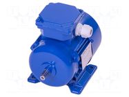 Motor: AC; 3-phase; 0.18kW; 230/400VAC; 2760rpm; IP54; -30÷60°C BESEL