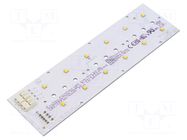 LED strip; W: 49.5mm; L: 172.2mm; No.of diodes: 12; CRImin: 80; 4000K PHILIPS