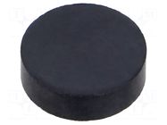 Magnet: permanent; hard ferrite; 6N; Ø: 20mm; H: 6mm ELESA+GANTER