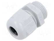 Cable gland; PG11; polyamide; grey ILME