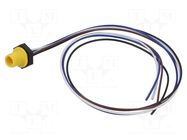 Connector: M12; socket; male; 4A; 250V; PIN: 4; IP67; straight; cables LUTRONIC