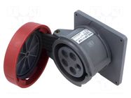 Connector: AC supply 3-phase; socket; female; 415V; IP&S; IP67 AMPHENOL