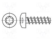 Screw; 3x10; Head: cheese head; Torx®; TX10; A2 stainless steel BOSSARD