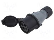 Connector: AC supply 3-phase; plug; female; PIN: 4; 32A; IP&S; IP44 AMPHENOL