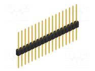 Connector: pin strips; pin header; male; PIN: 18; 1.5A; 125V; THT FISCHER ELEKTRONIK