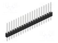 Connector: pin strips; pin header; male; PIN: 20; 1.5A; 125V; THT FISCHER ELEKTRONIK