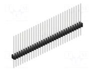 Connector: pin strips; pin header; male; PIN: 31; THT; 1.5A; 125V FISCHER ELEKTRONIK