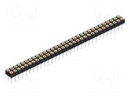 Connector: pin strips; socket; female; PIN: 62; MK 221; 3A; 150V FISCHER ELEKTRONIK