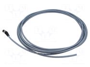 Cable: for sensors/automation; M8; PIN: 3; angled; 5m; plug; 60VDC BALLUFF