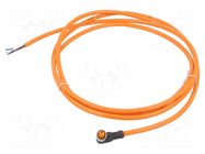 Cable: for sensors/automation; M8; PIN: 4; angled; 2m; plug; 60VDC LUMBERG AUTOMATION