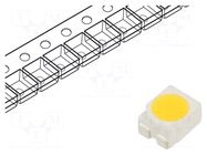 LED; white; SMD; 3528,PLCC4; 35÷38lm; 5500-6500(typ)-8500K; 120° OPTOSUPPLY