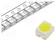 LED; white cold; SMD; 3528,PLCC4; 32÷35lm; 8500-10000(typ)-18000K OPTOSUPPLY