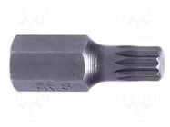 Screwdriver bit; spline (12-angles); XZN M12; Overall len: 30mm PROLINE