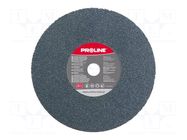 Grinding pin; Ø: 200mm; Disc thick: 20mm; Granularity: 60 PROLINE