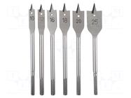 Drill set; for wood,feather; wood,chipboard; 6pcs. PROLINE