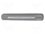 Screwdriver bit; spline (12-angles); XZN M12; Overall len: 75mm PROLINE