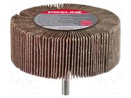 Grinding pin; Granularity: 80; flap,with lever; Mounting: rod 6mm PROLINE