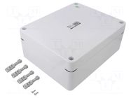 Enclosure: multipurpose; X: 220mm; Y: 270mm; Z: 106mm; INDUSTRIAL ELEKTRO-PLAST NASIELSK