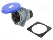 Connector: AC supply 3-phase; socket; female; 63A; 250VAC; IP&S AMPHENOL