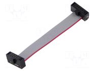 Ribbon cable with IDC connectors; Tape ph: 0.64mm; 50.8mm; 2" SAMTEC