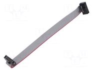 Ribbon cable with IDC connectors; Tape ph: 0.64mm; 101.6mm; 4" SAMTEC
