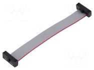 Ribbon cable with IDC connectors; Tape ph: 0.64mm; 76.2mm; 3" SAMTEC