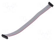 Ribbon cable with IDC connectors; Tape ph: 0.64mm; 152.4mm; 6" SAMTEC