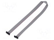 Ribbon cable with IDC connectors; IDC,both sides; 381mm; 15" SAMTEC