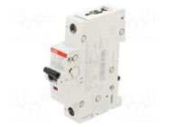 Circuit breaker; 230VAC; 220VDC; Inom: 4A; Poles: 1; Charact: C; 10kA ABB