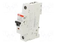 Circuit breaker; 230VAC; 220VDC; Inom: 8A; Poles: 1; Charact: C; 10kA ABB