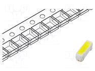 LED; white; SMD; PLCC2; 2000÷2700mcd; 2.6÷3.6VDC; 3x1x1.25mm; 120° LUCKYLIGHT