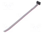 Ribbon cable with IDC connectors; IDC,wires; Tape ph: 0.64mm SAMTEC