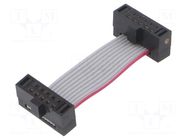 Ribbon cable with IDC connectors; IDC,both sides; 25.4mm; 1" SAMTEC