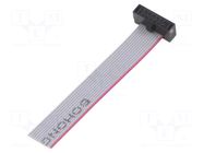 Ribbon cable with IDC connectors; IDC,wires; Tape ph: 0.64mm SAMTEC