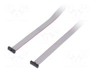 Ribbon cable with IDC connectors; IDC,both sides; 3048mm; 120" SAMTEC