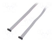 Ribbon cable with IDC connectors; IDC,both sides; 1270mm; 50" SAMTEC