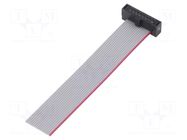 Ribbon cable with IDC connectors; IDC,wires; Tape ph: 0.64mm SAMTEC