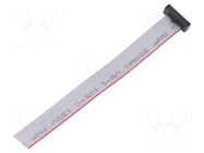 Ribbon cable with IDC connectors; IDC,wires; Tape ph: 0.64mm SAMTEC