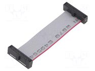 Ribbon cable with IDC connectors; IDC,both sides; 50.8mm; 2" SAMTEC