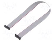 Ribbon cable with IDC connectors; IDC,both sides; 298.45mm SAMTEC