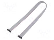 Ribbon cable with IDC connectors; IDC,both sides; 449.58mm SAMTEC