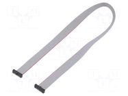 Ribbon cable with IDC connectors; IDC,both sides; 457.2mm; 18" SAMTEC