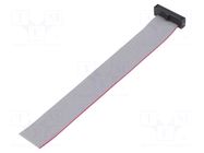 Ribbon cable with IDC connectors; IDC,wires; Tape ph: 0.64mm SAMTEC