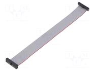 Ribbon cable with IDC connectors; IDC,both sides; 125.4mm; 6" SAMTEC