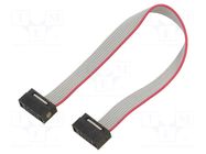 Ribbon cable with IDC connectors; IDC,both sides; 101.6mm; 4" SAMTEC